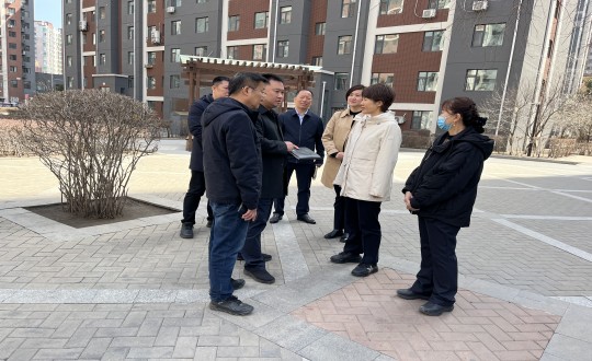 7.长春市向阳区区长鲁晓光一行莅临j9国际集团?南湖第宅幼区参观领导_副本.jpg
